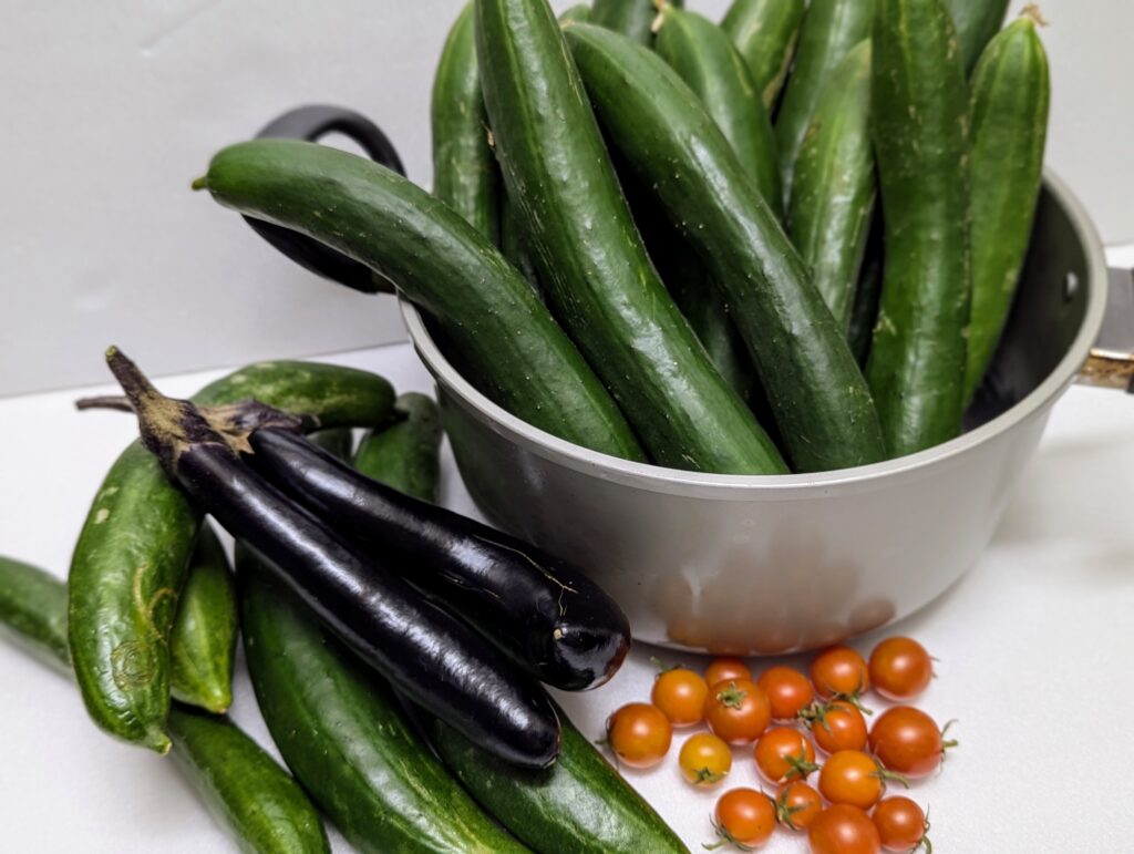 大量のきゅうり
夏野菜